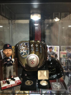 Wade Bppgs Collectibles display case