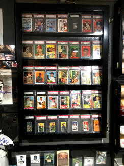 Baseball Card Collection Display 